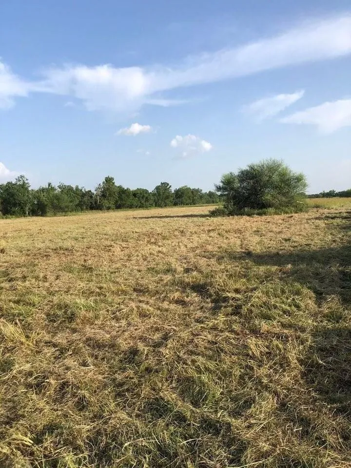 9020 Katy Hockley Road Katy, TX 77493