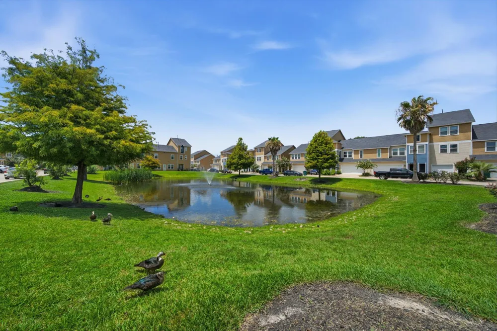 3607 Vineyard Lane Pasadena, TX 77504