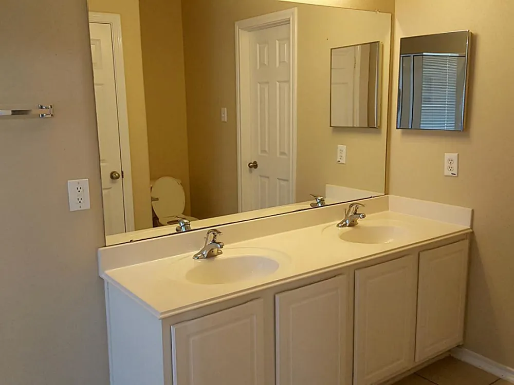 111 Gallery Cove Court The Woodlands, TX 77382