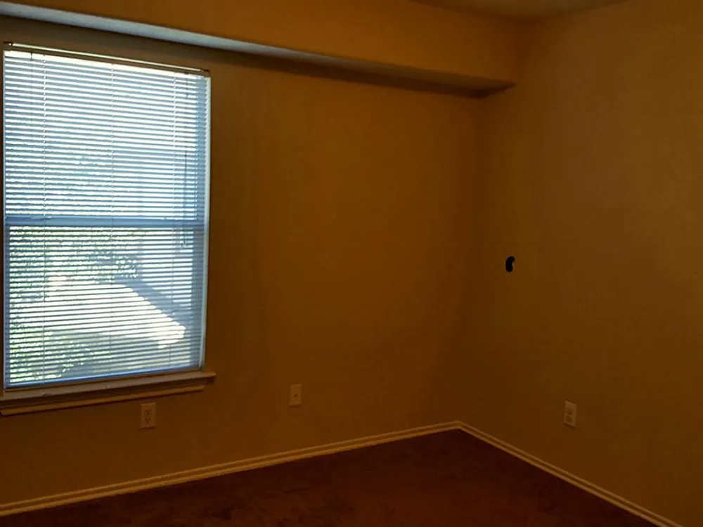 111 Gallery Cove Court The Woodlands, TX 77382