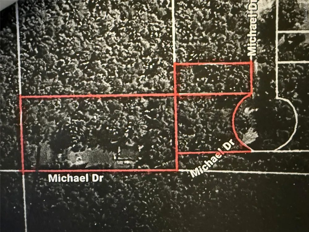 1501 Michael Drive Mills Township, MI 48610