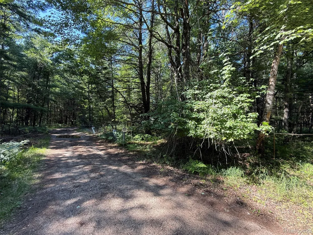 1501 Michael Drive Mills Township, MI 48610