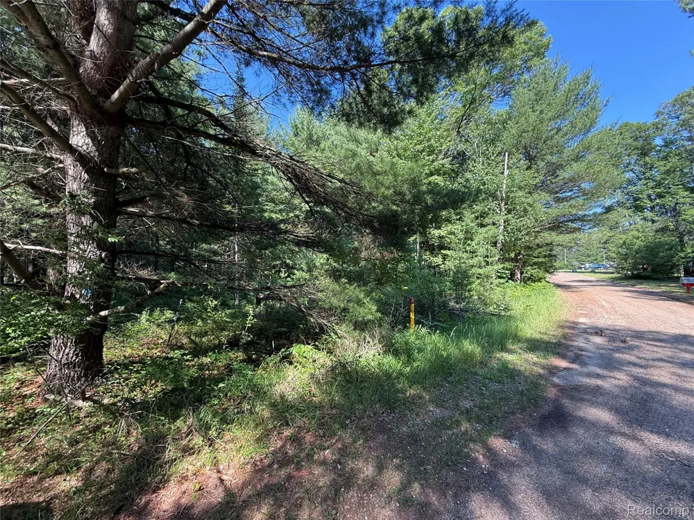 1501 Michael Drive Mills Township, MI 48610