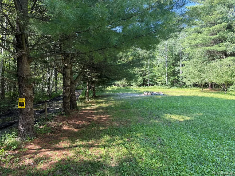1501 Michael Drive Mills Township, MI 48610