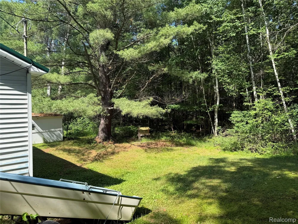 1501 Michael Drive Mills Township, MI 48610