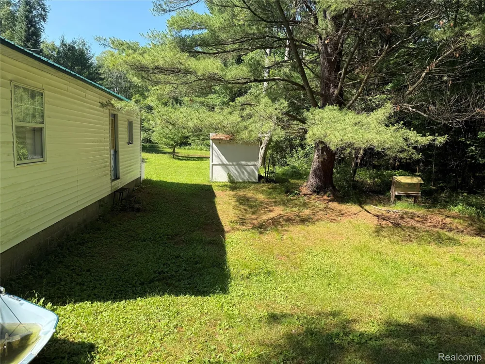 1501 Michael Drive Mills Township, MI 48610