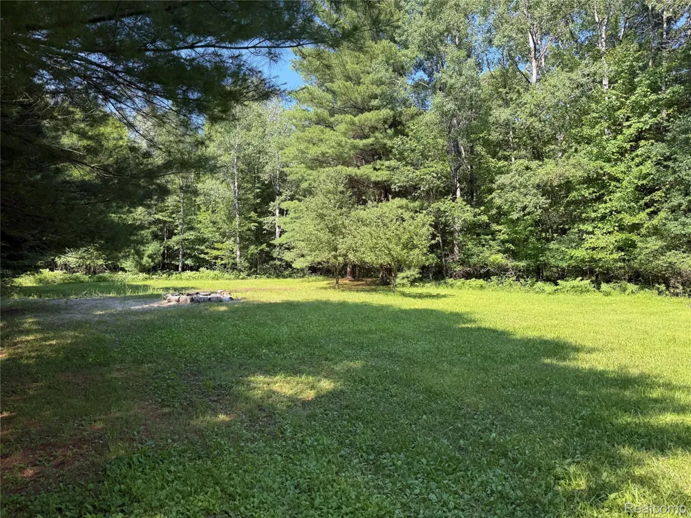 1501 Michael Drive Mills Township, MI 48610