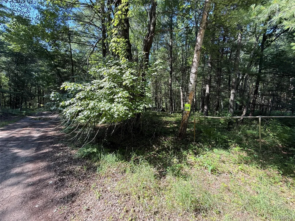 1501 Michael Drive Mills Township, MI 48610