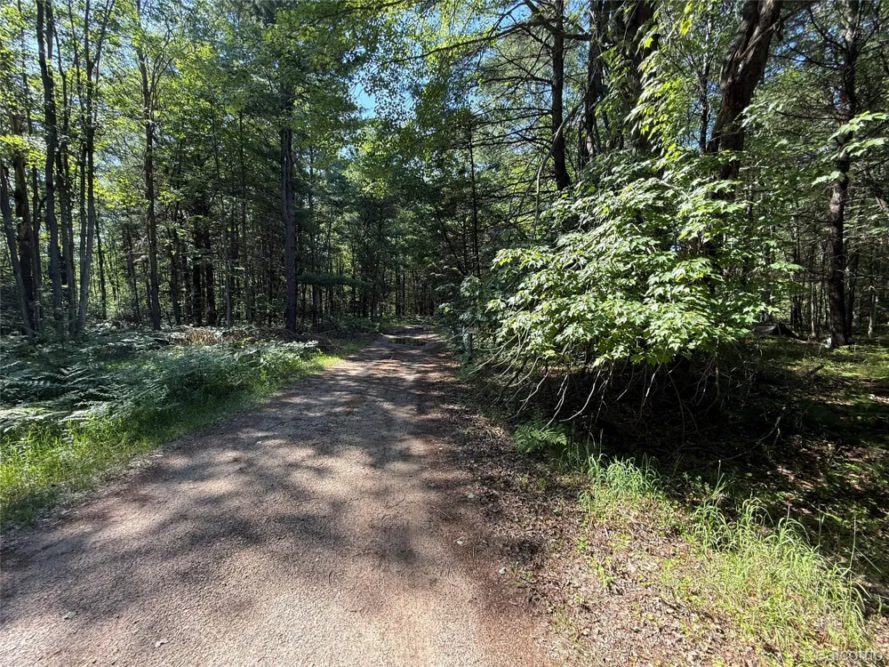 1501 Michael Drive Mills Township, MI 48610