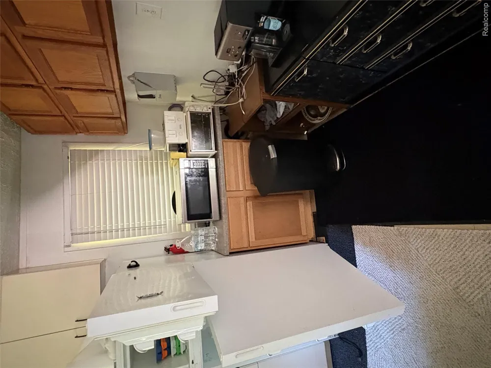 1501 Michael Drive Mills Township, MI 48610