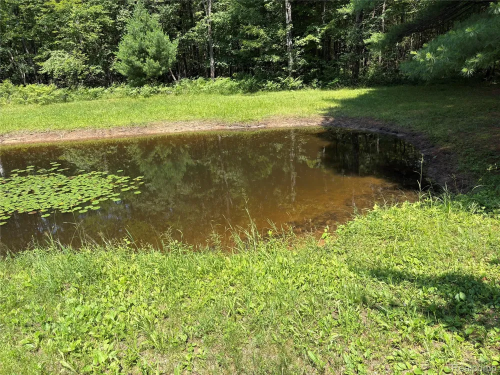 1501 Michael Drive Mills Township, MI 48610