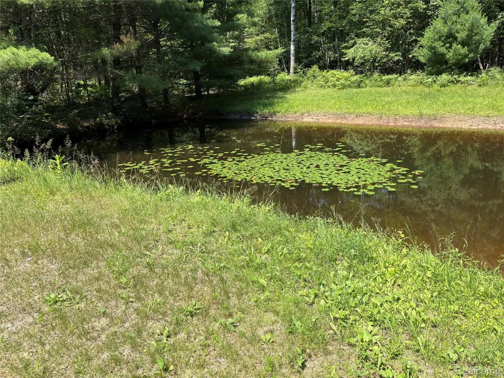 1501 Michael Drive Mills Township, MI 48610