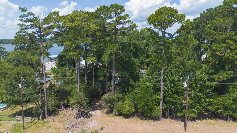 180 Holly Trail Trinity, TX 75862