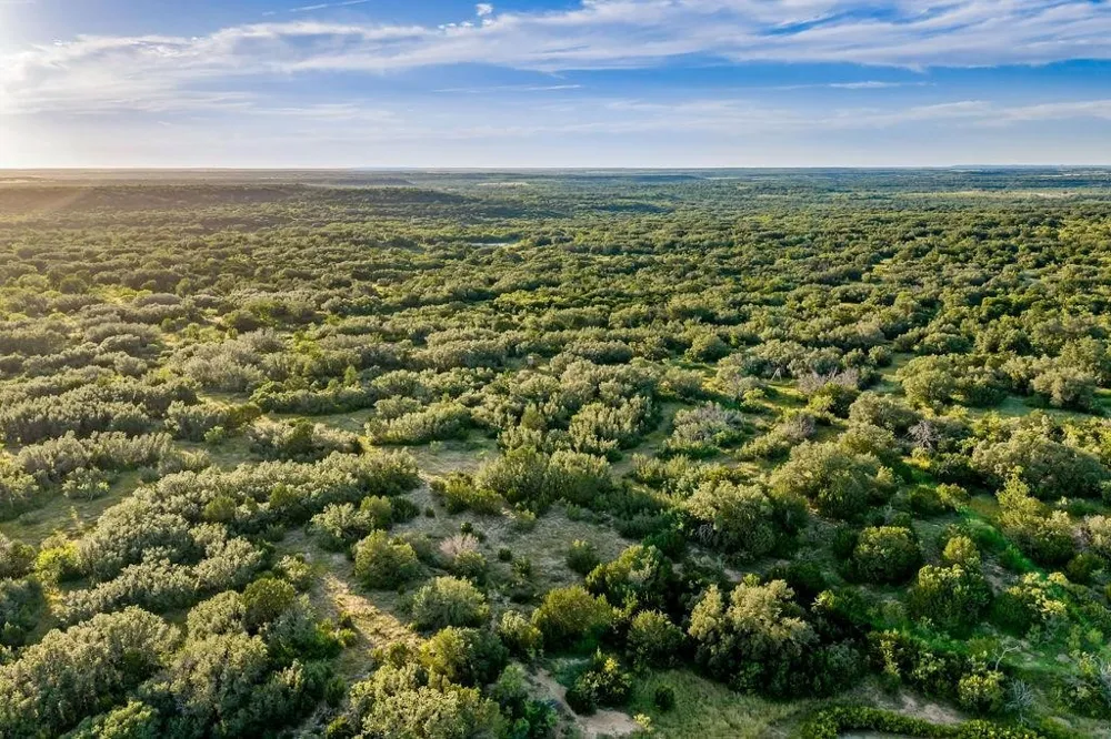 5324 Fm 568 Santa Anna, TX 76878