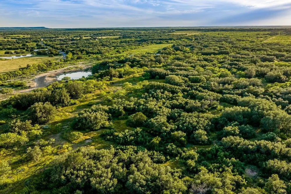 5324 Fm 568 Santa Anna, TX 76878
