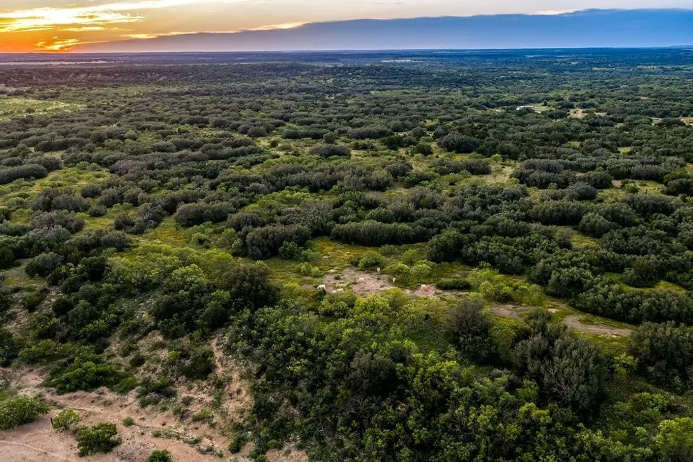 5324 Fm 568 Santa Anna, TX 76878