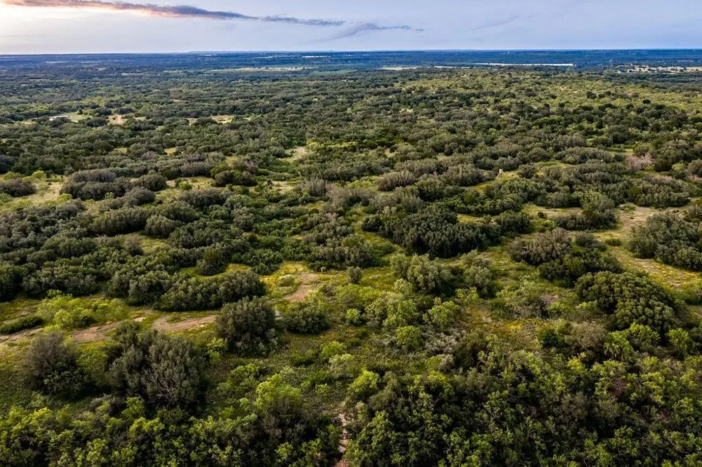 5324 Fm 568 Santa Anna, TX 76878