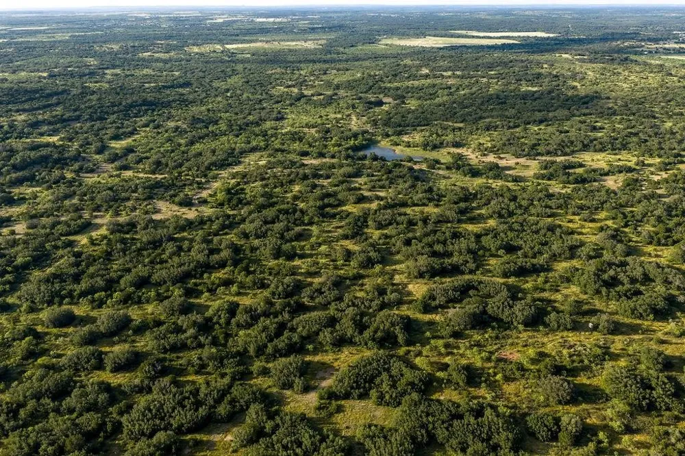 5324 Fm 568 Santa Anna, TX 76878