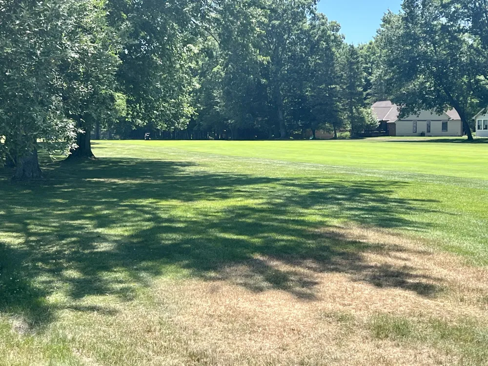 6805 Mayfair Drive Canadian Lakes, MI 49346