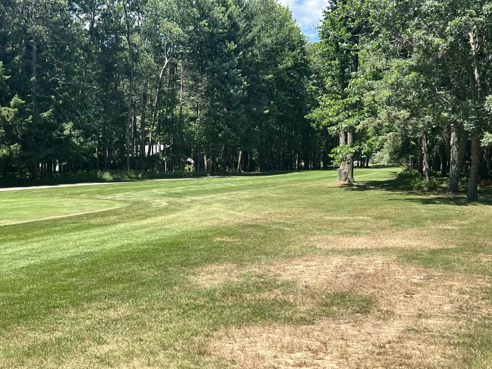 6805 Mayfair Drive Canadian Lakes, MI 49346