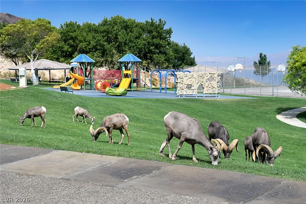 203 Kaelyn Street #2 Boulder City, NV 89005