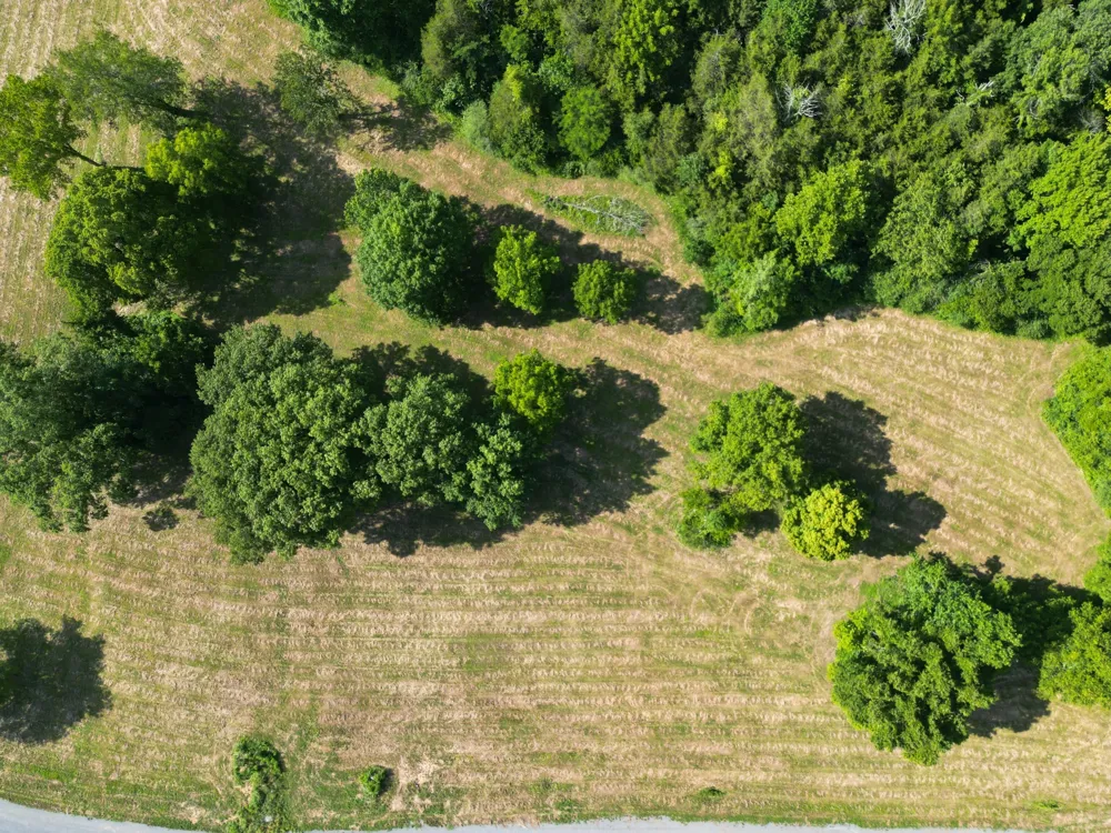 0 Jennings Creek Hwy Gainesboro, TN 38562