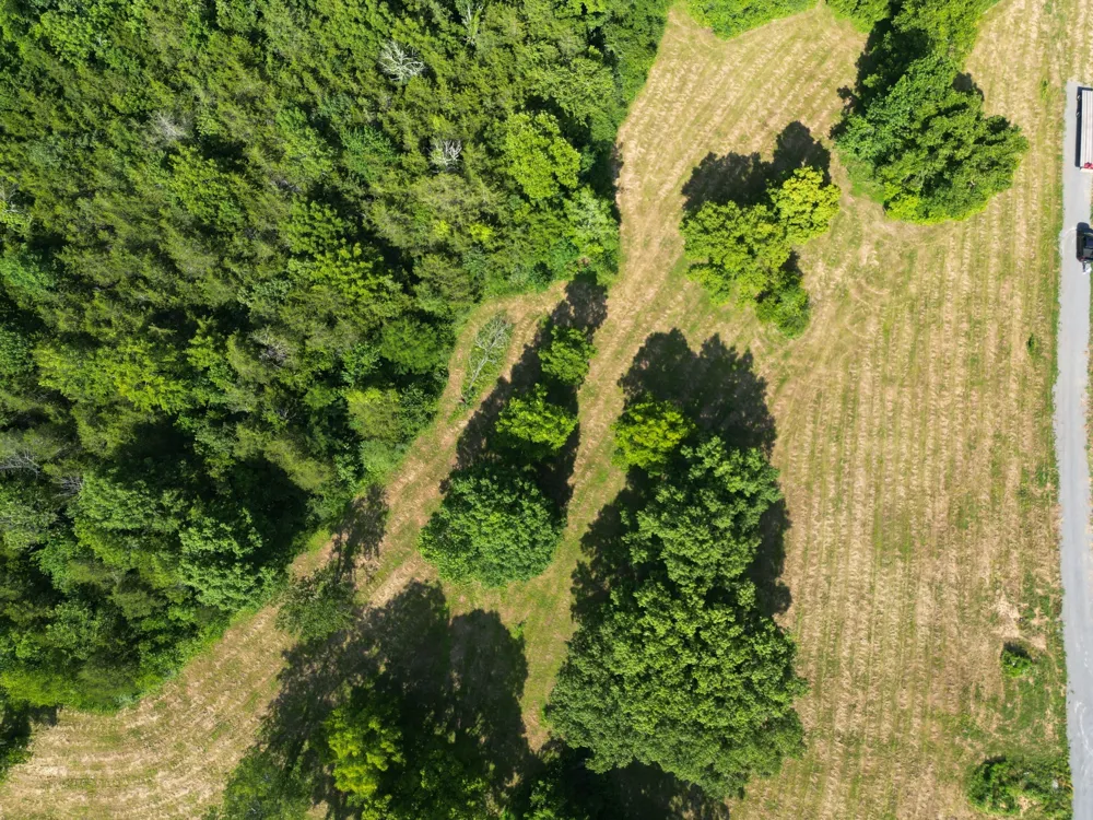 0 Jennings Creek Hwy Gainesboro, TN 38562