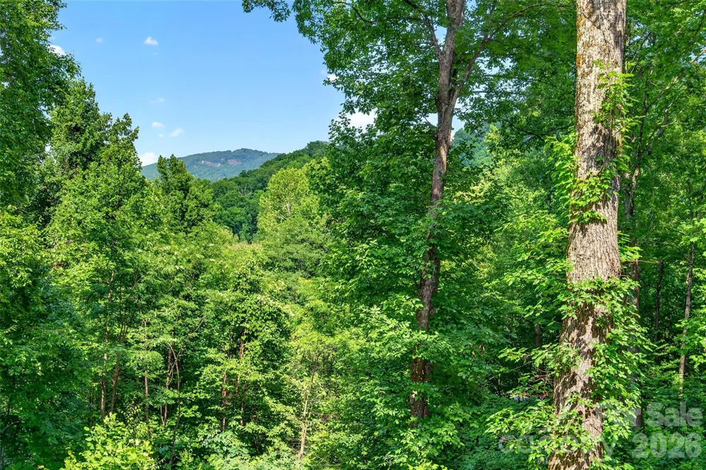 771 Sally Gap Road Old Fort, NC 28762
