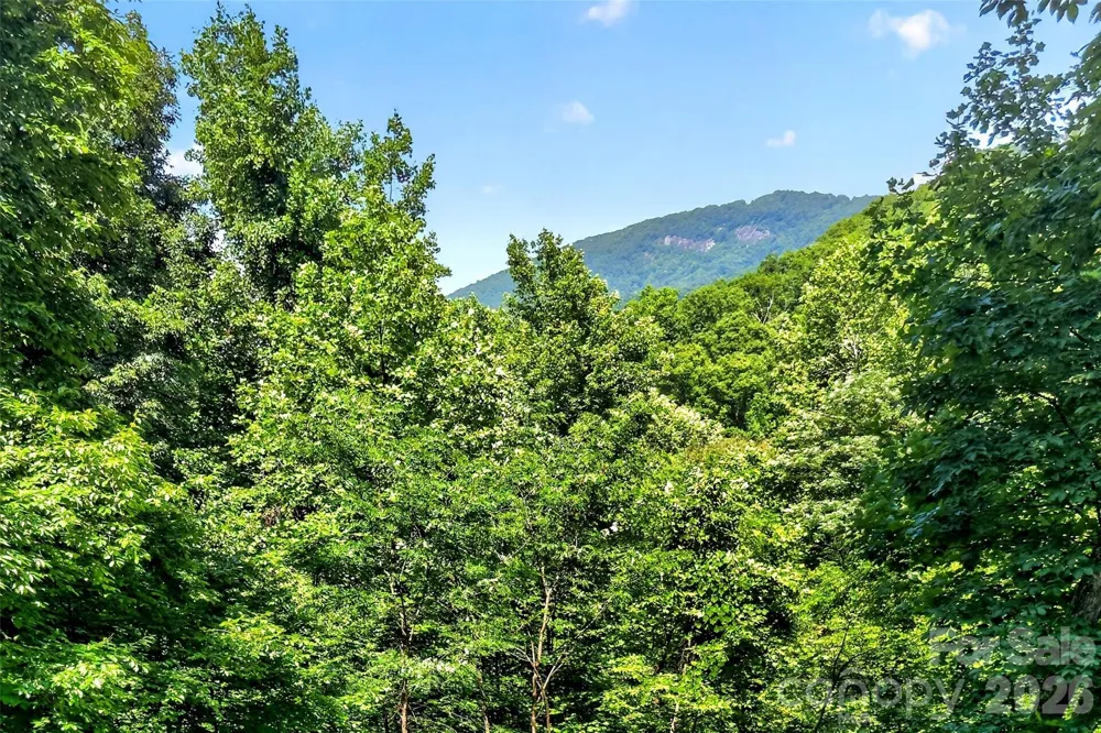 771 Sally Gap Road Old Fort, NC 28762