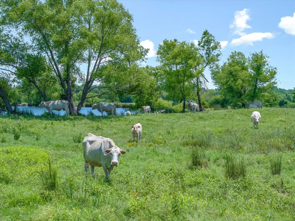 3300 Vz County Road 1903 Edgewood, TX 75117