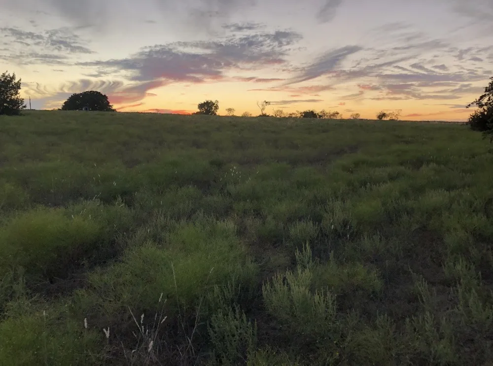 2110 County Road 362 Desdemona, TX 76445
