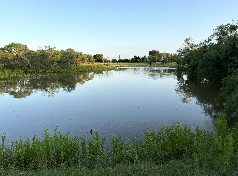 2110 County Road 362 Desdemona, TX 76445