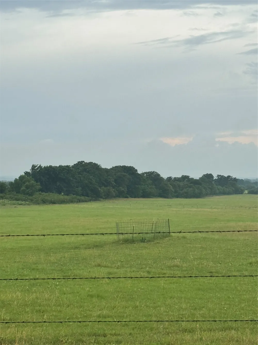 2110 County Road 362 Desdemona, TX 76445