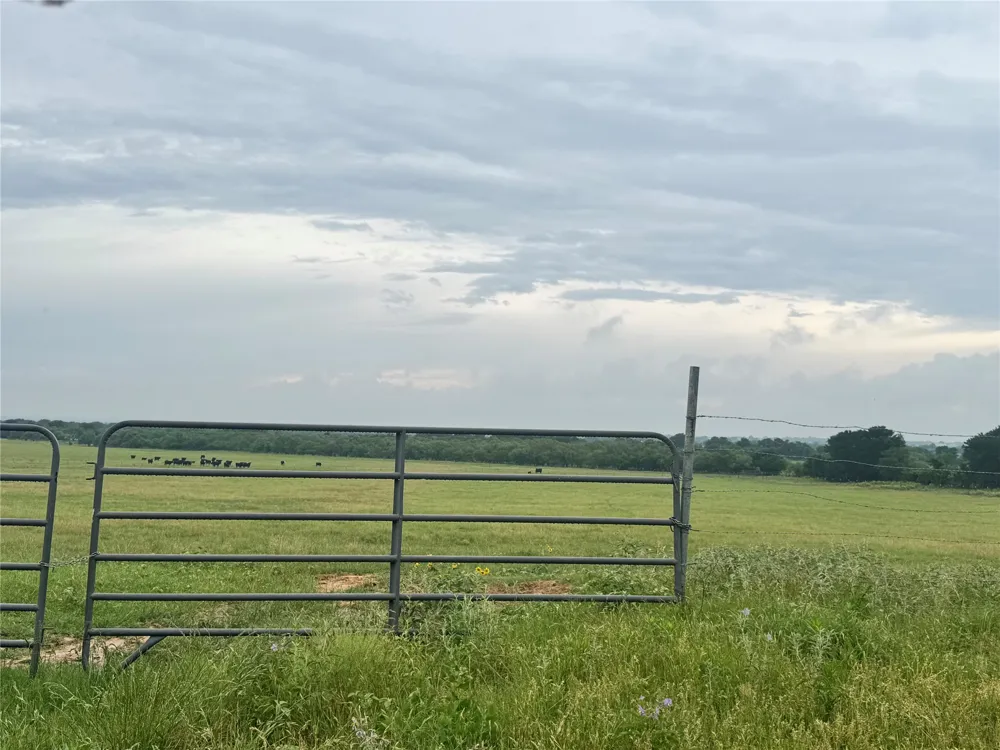2110 County Road 362 Desdemona, TX 76445