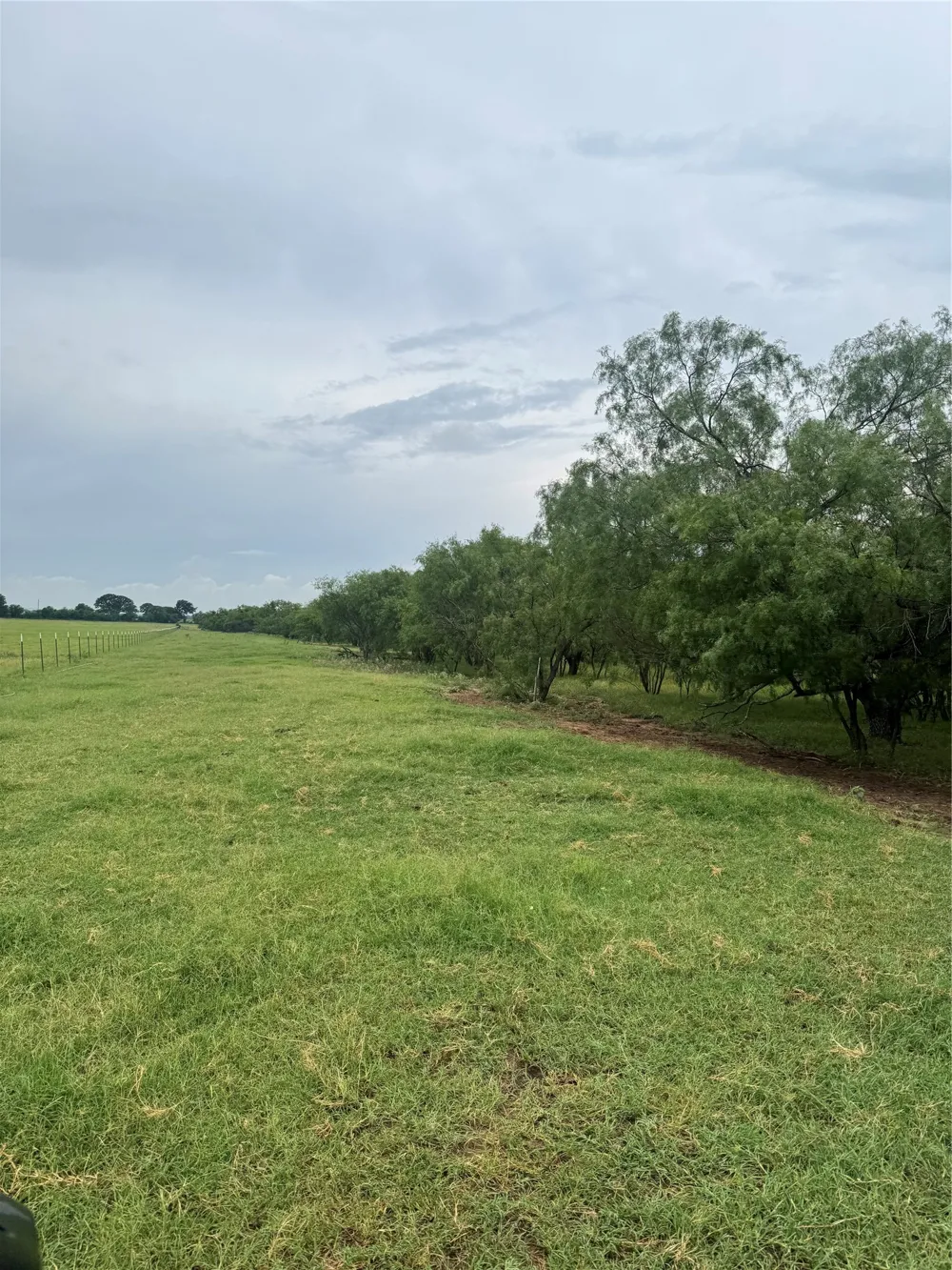 2110 County Road 362 Desdemona, TX 76445