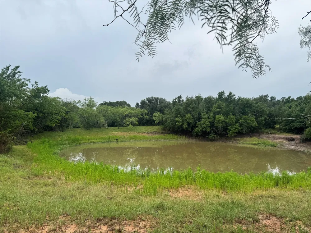 2110 County Road 362 Desdemona, TX 76445