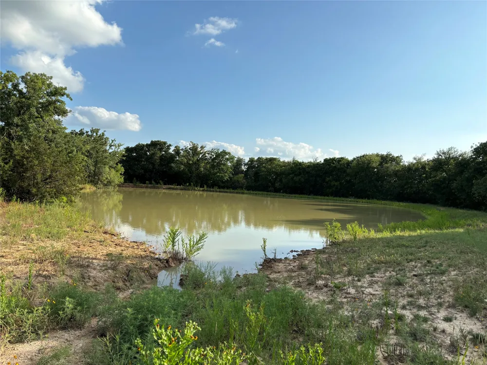 2110 County Road 362 Desdemona, TX 76445