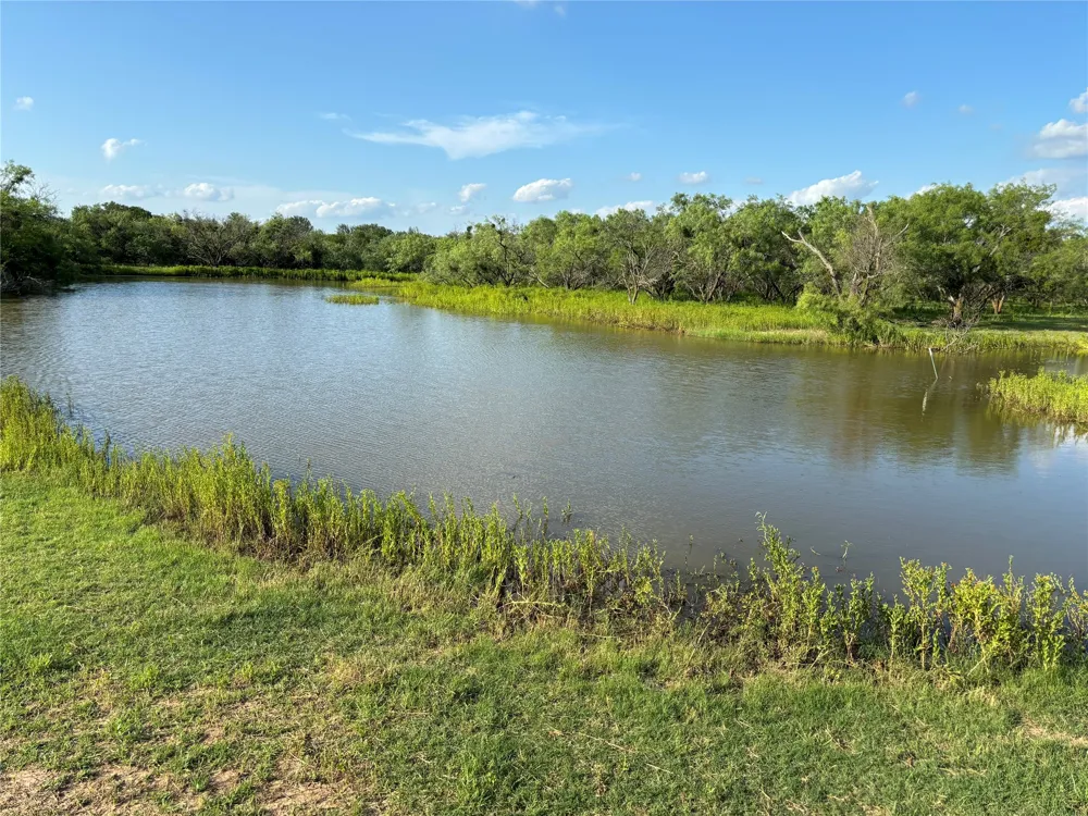 2110 County Road 362 Desdemona, TX 76445