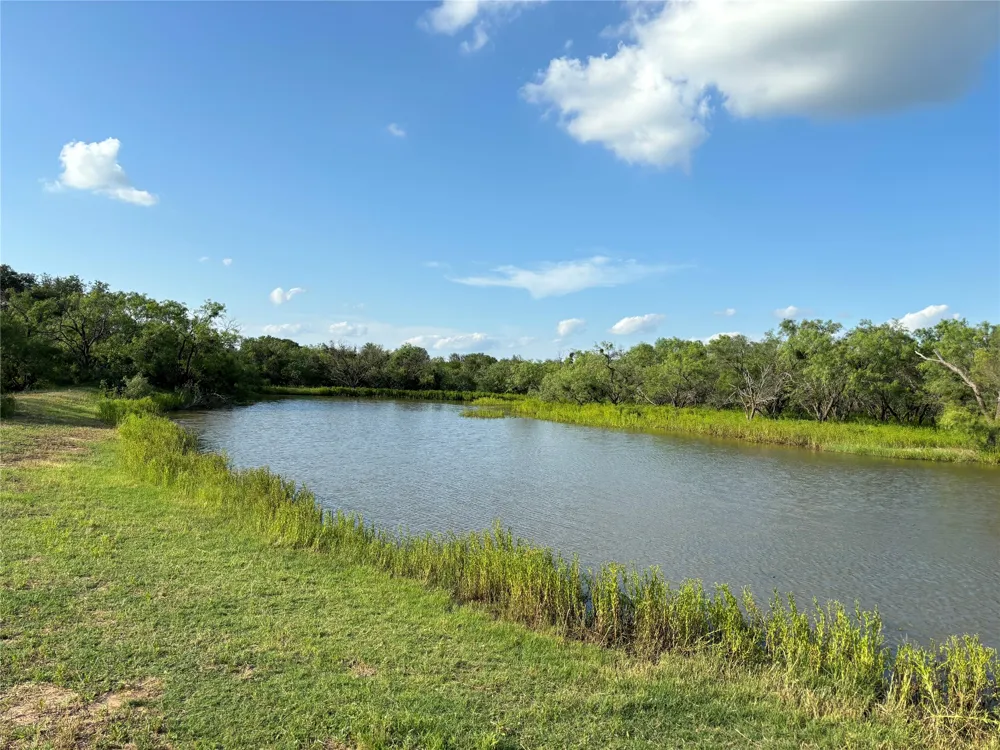 2110 County Road 362 Desdemona, TX 76445