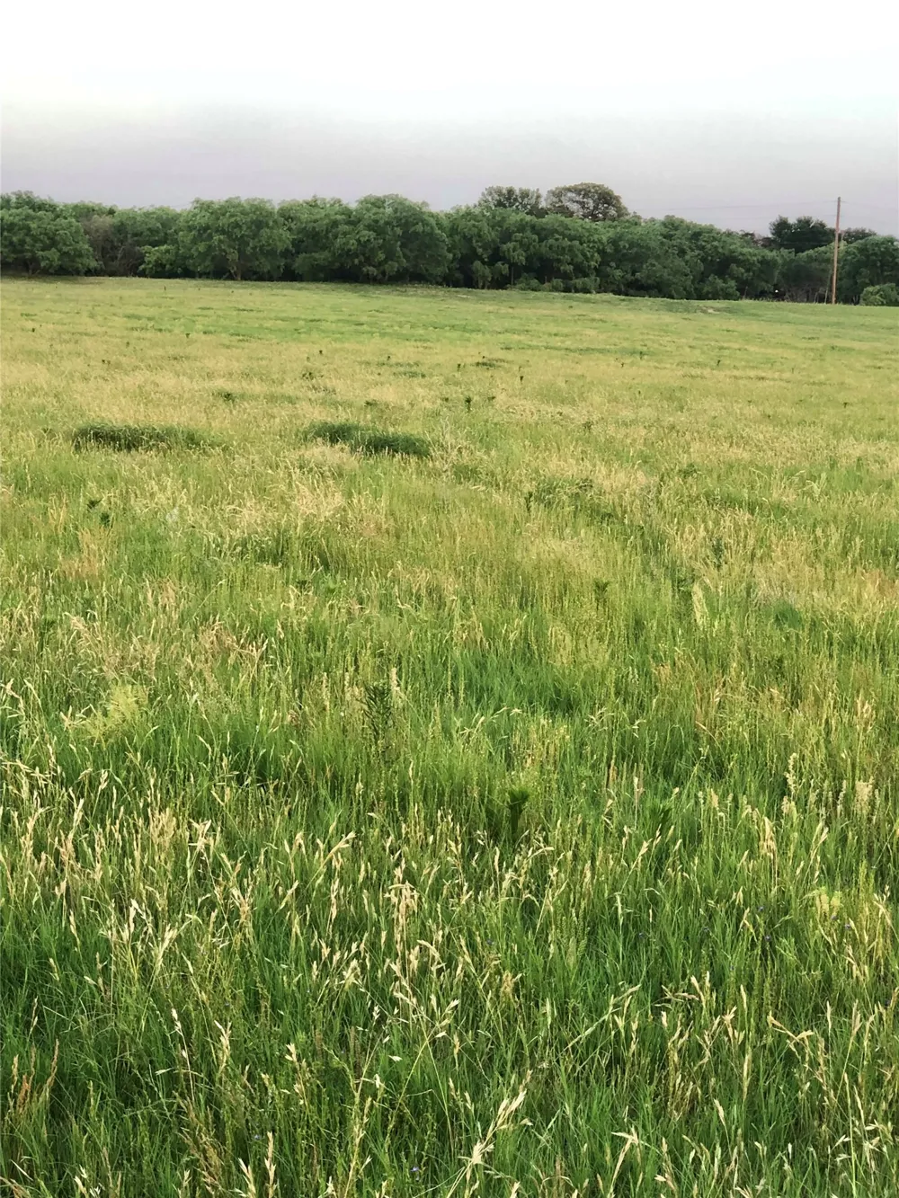 2110 County Road 362 Desdemona, TX 76445