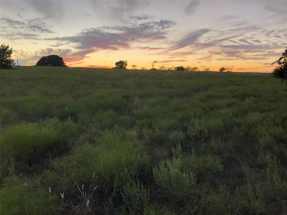 2110 County Road 362 Desdemona, TX 76445