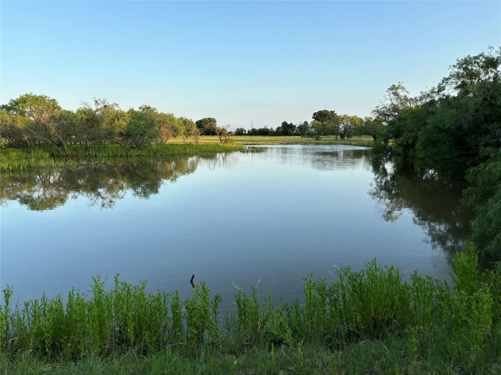 2110 County Road 362 Desdemona, TX 76445