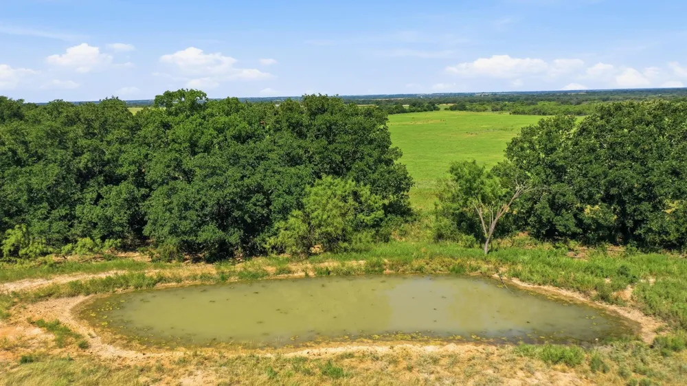 2110 County Road 362 Desdemona, TX 76445