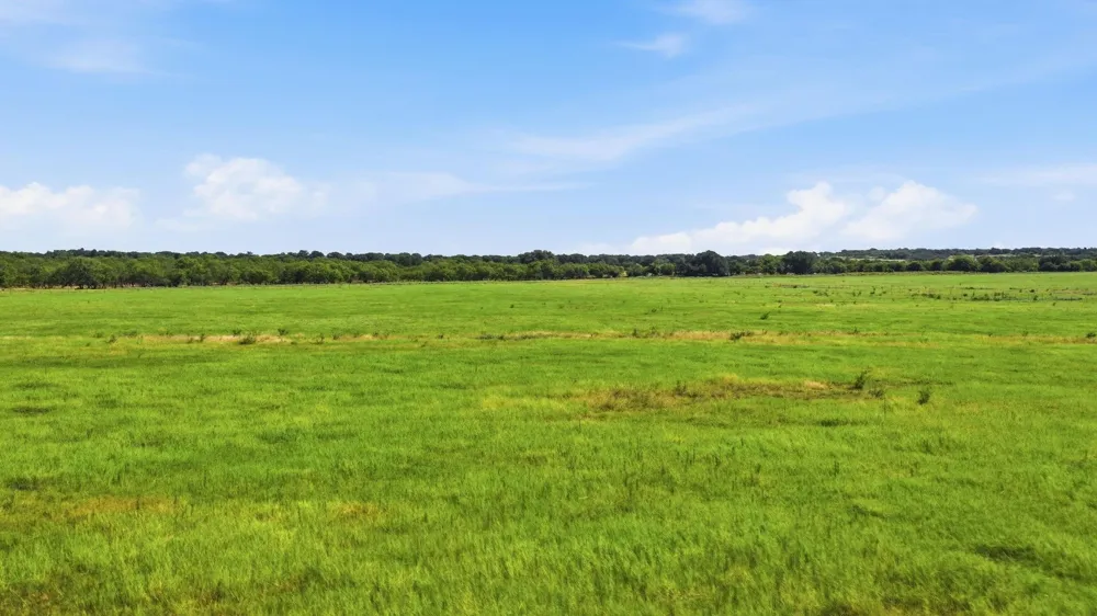 2110 County Road 362 Desdemona, TX 76445