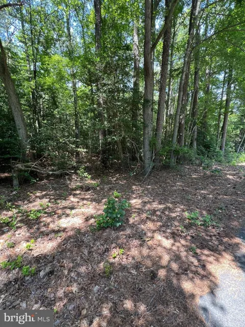 109 W VEGA WAY #LOT 8