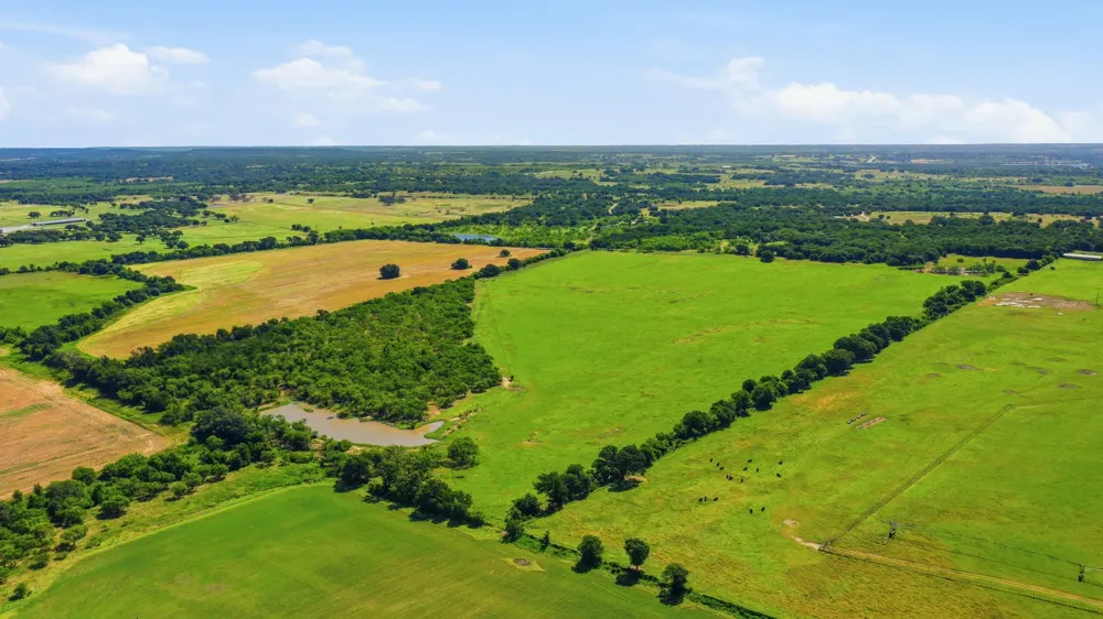 2110 CR 362 Desdemona, TX 76445