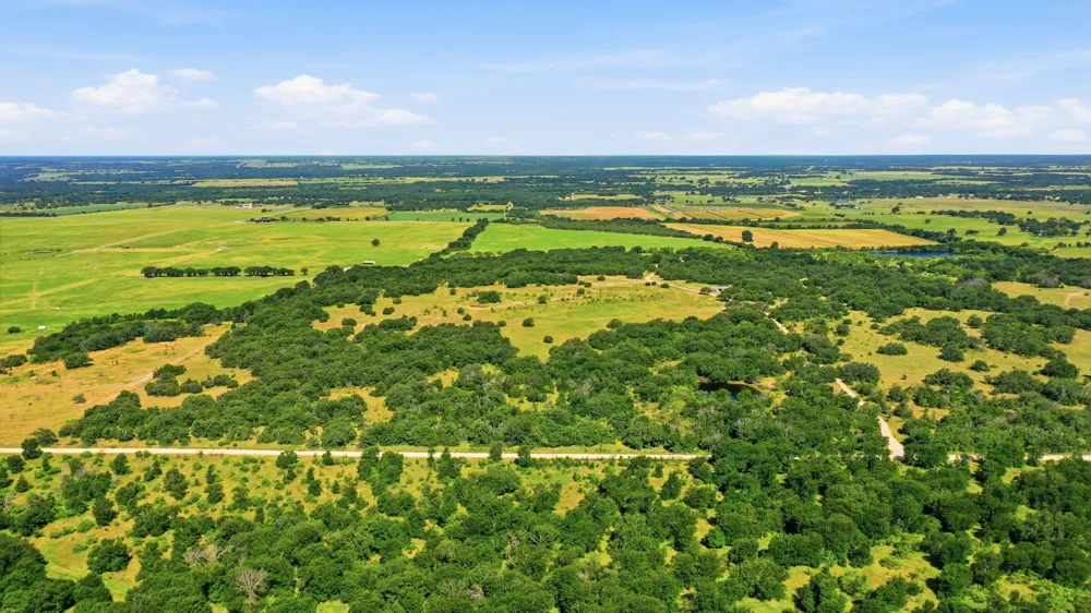 2110 CR 362 Desdemona, TX 76445