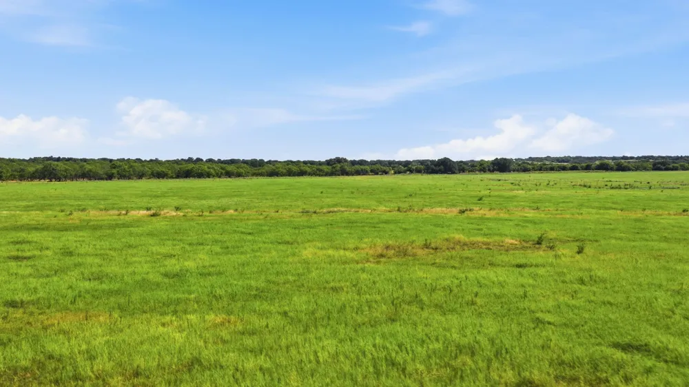 2110 CR 362 Desdemona, TX 76445