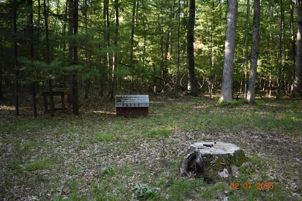 2425 Cora Lane Mills Township, MI 48756