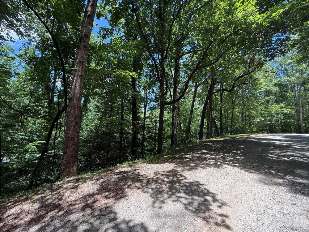 1 Rixhaven Drive Saluda, NC 28773